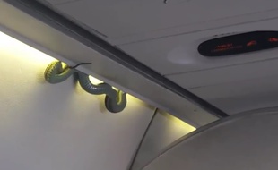 Un serpent est sorti d'un casier à bagages, le 6 novembre 2016, dans la cabine d'un avion, lors d'un vol d'AeroMexico entre les villes mexicaines de Torreon et Mexico.