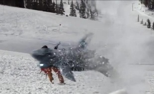 «Avalanche shark», quand les requins font du ski
