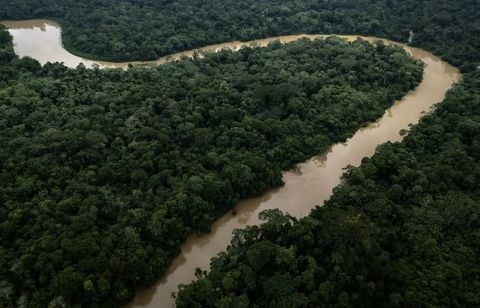 Un militant écologiste tué par balle au volant de son camion dans l’Amazonie
