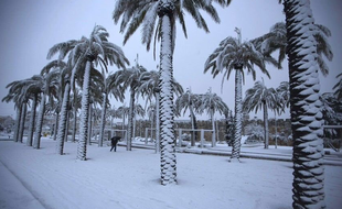 Une des photos qui a circulé ce week-end sur les réseaux sociaux à propos de fausses chutes de neige en Arabie saoudite.