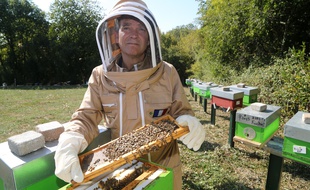 Arnaud Montebourg récolte du miel à Pannessières dans le Jura, le 20 septembre 2018.