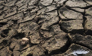 La France, déjà marquée en 2011 par un printemps historiquement sec, accuse de nouveau un déficit pluviométrique en ce début d'année, notamment dans l'ouest et le sud-ouest, et montre des signes de sécheresse en Languedoc-Roussillon, a-t-on appris mardi auprès de Météo France.