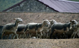 Une ferme à Eygalieres, dans le Larzac, le 12 octobre 2015