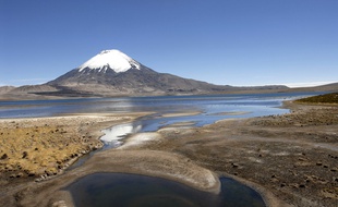 Illustration de la Cordillère des Andes. Le Parinacota, volcan endormi, et le lac Chungara, dans le Parc national Lauca.