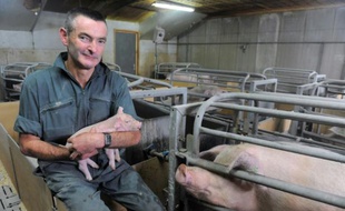 L'agriculteur français Jean-Michel Juhel pose avec un porcelet dans les bras dans sa ferme de Plédéliac, dans l'ouest de la France le 20 juillet 2015