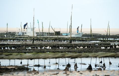 Les pontons du village ostréicole de Leucate vont bientôt disparaître