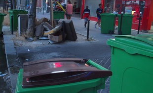 Paris, le 20 juin 2017. Les poubelles marrons dédiées aux déchets organiques sont vidées par le Syctom deux fois par semaine.
