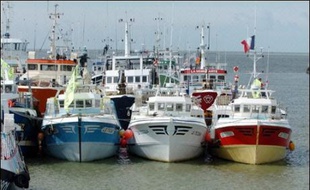 La France demande le "rétablissement d'un quota limité dès le deuxième semestre 2007 pendant une période de trois mois" pour la pêche à l'anchois dans le Golfe de Gascogne, a annoncé le ministre de la Pêche Michel Barnier