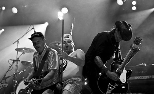 Le groupe Elmer Food Beat en concert, avec Manou et son épuisette.