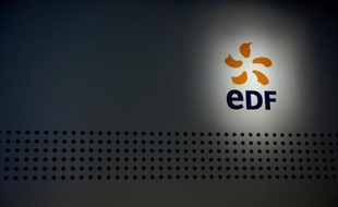 Des grandes entreprises publiques françaises, dont EDF, ou anciennement publiques, ont recours à des holdings financières installées aux Pays-Bas pour réduire leurs impôts, rapporte mercredi le quotidien économique néerlandais Het Financieele Dagblad (FD).