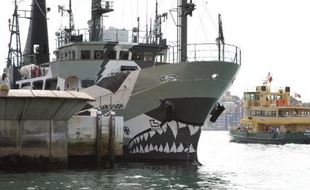 Alors que ses navires traquent les baleiniers japonais en Antarctique, l'organisation Sea Shepherd bat aussi le tambour pour les dauphins massacrés tous les ans dans un petit port de l'ouest du Japon.