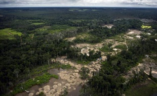 Une nouvelle fièvre de l'or aux conséquences dévastatrices s'est emparée de l'Amérique latine: forêts tropicales ravagées par les mines artisanales où règne la loi du plus fort, communautés sur le pied de guerre contre les projets d'investissements miniers internationaux.