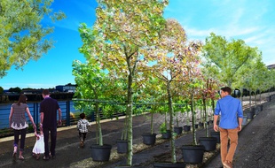 Image de synthèse du projet «Quai des plantes» sur le quai de la Fosse.