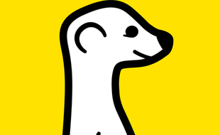 Logo de la nouvelle appli MeerKat, lancée par Twitter.