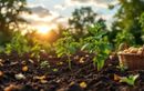 Planter des pommes de terre fin août : la technique maline pour une belle récolte en automne avant les gelées