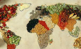 Selon la région du monde dans laquelle vous vivez, un régime de saison n’aura pas les mêmes conséquences sur votre alimentation