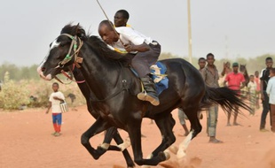 Des jockeys nigériens s'affrontent lors d'une course dans l'hippodrome de Niamey, le 27 février 2016