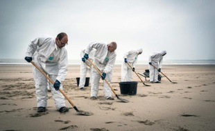 Des gens s'efforcent de ramasser les boulettes de carburant échouées sur la plage belge de Blankenberge après la collision entre deux navires, le 21 octobre 2015