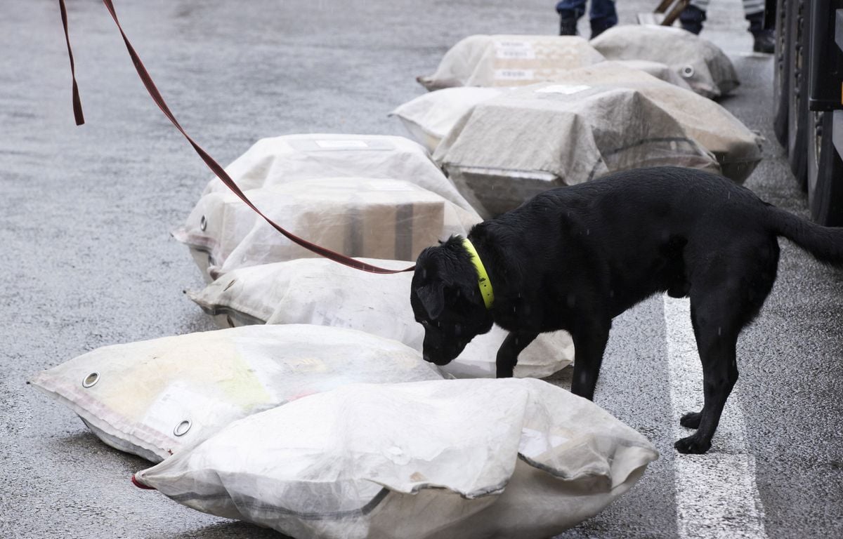Pays Basque : L'Office anti-stupéfiants saisit deux véhicules avec 600 kg de cannabis