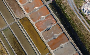 Vue du ciel du marais de la Galopinière à Beauvoir sur Mer (Vendée) dans le marais breton.