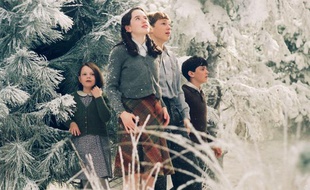 Image du film «Le monde de Narnia, chapitre 1: le lion, la sorcière blanche et l'amoire magique».