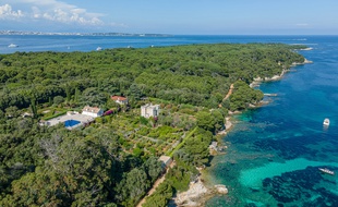Le Grand jardin était proposé à la vente pour 45 millions d'euros