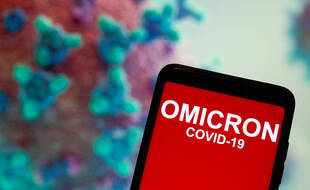Le variant Omicron circule déjà dans au moins 22 pays selon l'OMS.