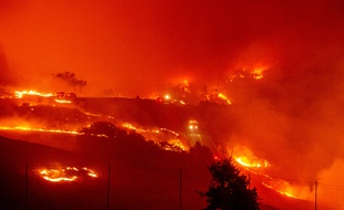 Le Kincade fire, près de Geyserville, au nord de San Francisco, en Californie, le 24 octobre 2019.