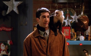 Le capucin Marcel a mis pas mal d'ambiance sur le tournage de «Friends».