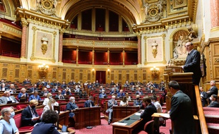 L'hémicycle du Sénat, lors de la déclaration de politique générale de Jean Castex.