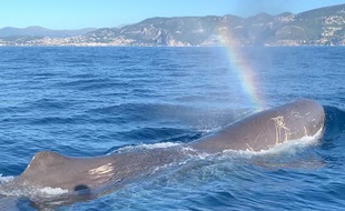 La rencontre a eu lieu au large de Monaco