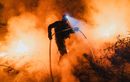 Les images de l'Espagne et du Portugal dévorés par les flammes