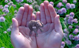 La startup Magic Leap travaille sur une solution de réalité augmentée d'un genre nouveau.