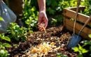 T’as deux minutes ? Fais un paillis avec tes déchets et ton jardin te dira merci