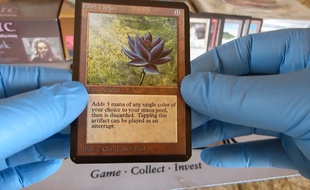 La carte «Magic» Lotus Noir est très rare.