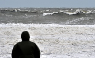 Ce sont les vagues qui ont ramené le corps sur la plage.