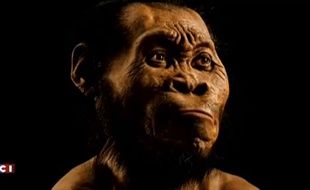 Voici à quoi ressemblait l'Homo naledi, l'ancienne espèce humaine jusqu'alors inconnue, mise au jour dans une grotte d'Afrique du Sud.