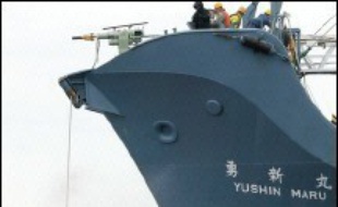 Les partisans de la reprise de la chasse commerciale à la baleine ont remporté une première victoire dimanche à la réunion annuelle de la Commission baleinière internationale (CBI) à Frigate Bay en adoptant une résolution jugeant que le moratoire de 20 ans sur la chasse commerciale n'était "plus nécessaire dorénavant".