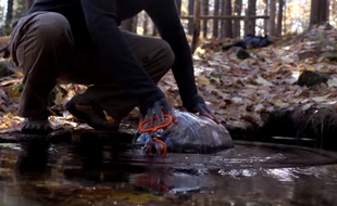 De plus en plus d'Américains se laissent tenter par la « Raw water », une eau non traitée.