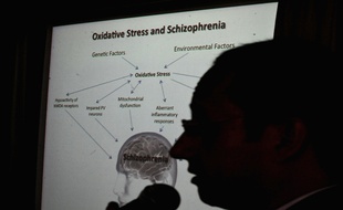 L'étude publiée mardi apporte de nouvelles pistes décisives pour la compréhension des causes de la schizophrénie.