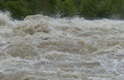 Les inondations au Texas ont dévoilé de vieilles empreintes de dinosaures