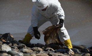 Nettoyage de la plage de Goleta, en Californie, le 22 mai 2015