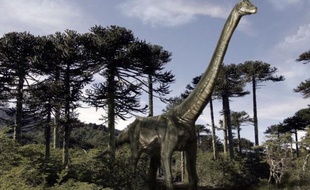 La disparition subite des dinosaures, il y a 65 millions d'années, a donné lieu à toutes sortes de spéculations. Une équipe scientifique suisso-britannique voit dans la stratégie reproductrice de ces animaux fascinants qui pondaient des oeufs, un nouvel élément d'explication.