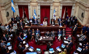 La vice-présidente Cristina Fernandez de Kirchner préside la session au Parlement où la loi proposée par le préesident Alberto Fernandez est discutée à Buenos Aires le 20 décembre 2019.