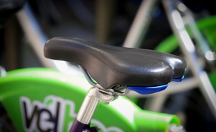 Au soleil, dans le froid voire sous la neige, les Strasbourgeois ont pris l'habitude de prendre le vélo au quotidien, à l'aide d'un territoire plat et plein de pistes cyclables...