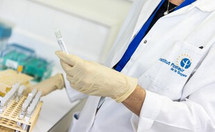 Des tests à l'Institut Pasteur de la Guyane. (illustration)