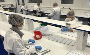 Depuis plusieurs semaines, la société NG Biotech croule sous les commandes.