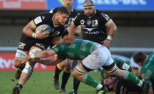 Le Montpelliérain Paul Willemse, le 12 janvier avec le MHR contre Newcastle en Coupe d'Europe.