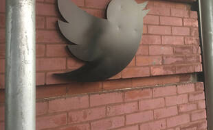 L'oiseau représentant Twitter.