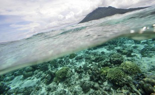 L'Agence internationale de l'énergie atomique (AIEA) a annoncé lundi l'ouverture cet l'été en principauté de Monaco, d'un nouveau centre pour répondre aux problèmes engendrés par l'acidification des océans.